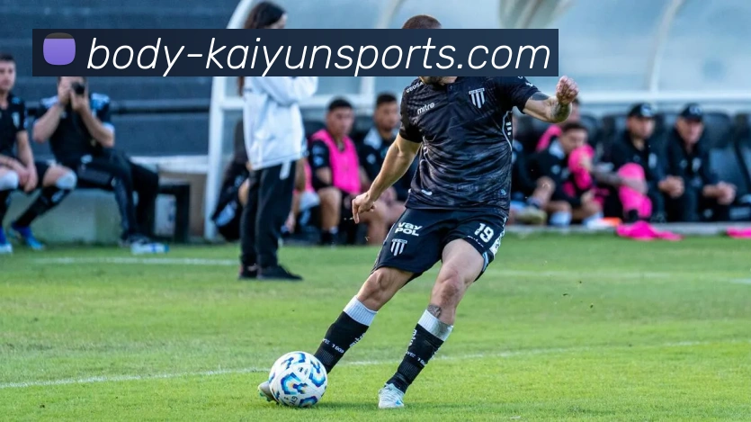 kaiyun平台生态图